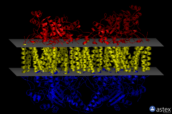 Membrane view of 8gbt