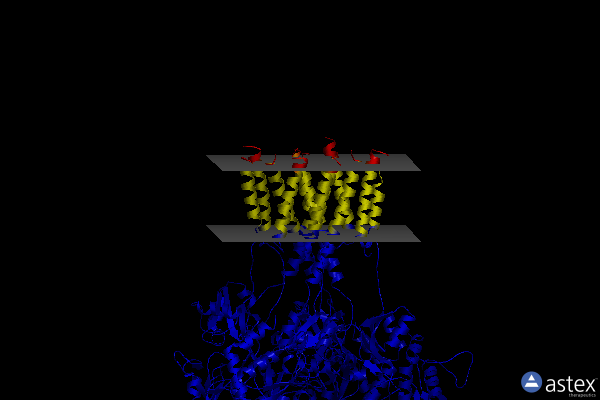 Membrane view of 8gc2