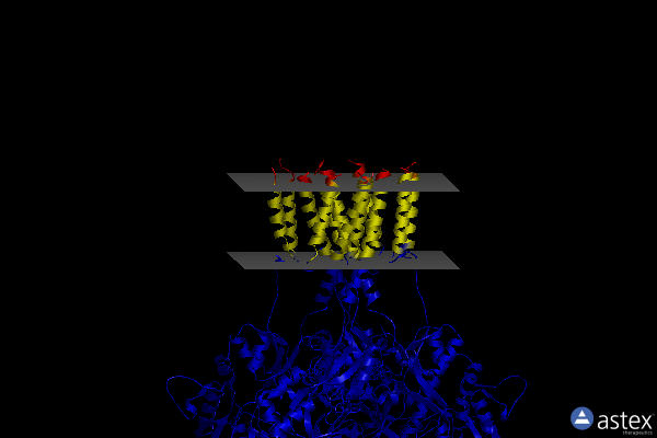 Membrane view of 8gc3