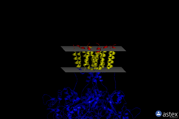 Membrane view of 8gc4
