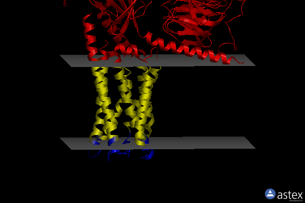 Membrane view of 8gd9
