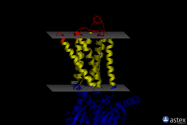 Membrane view of 8ge4