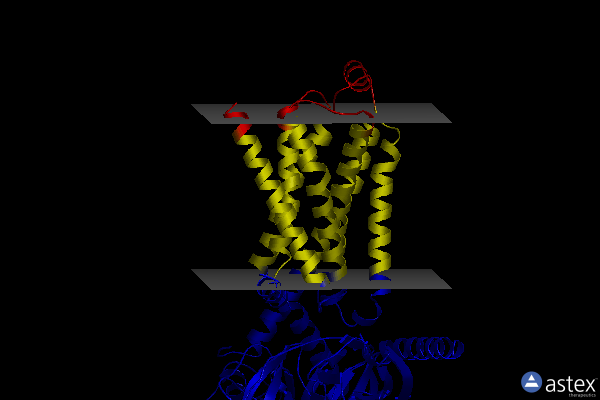 Membrane view of 8ge5