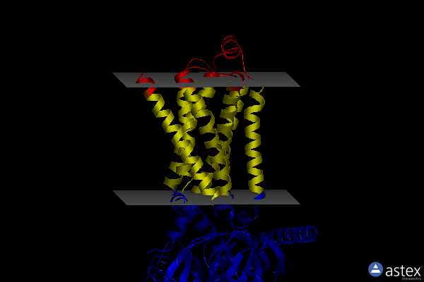 Membrane view of 8ge8