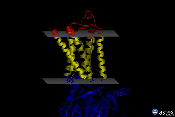 Membrane view of 8geb