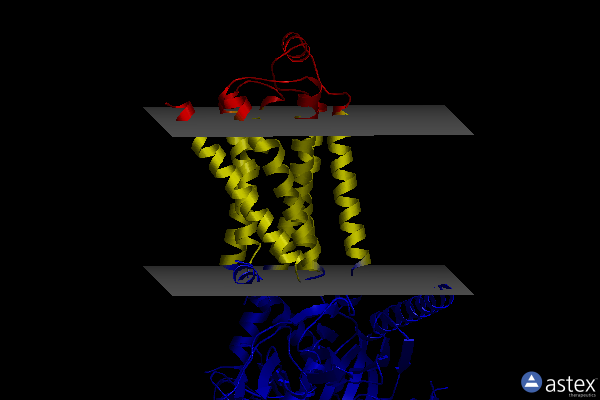 Membrane view of 8gec