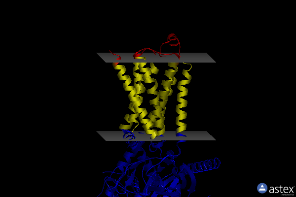 Membrane view of 8gee