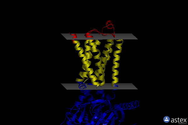 Membrane view of 8gef