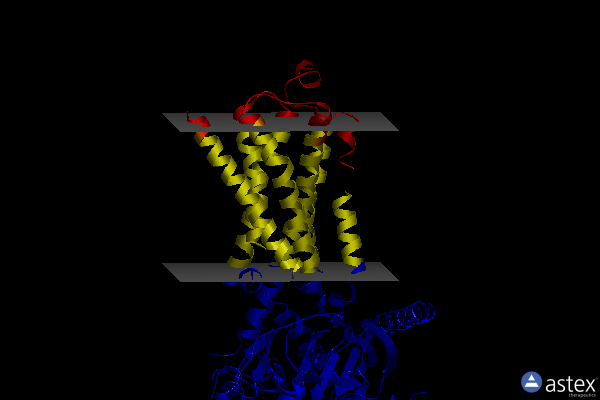 Membrane view of 8gej