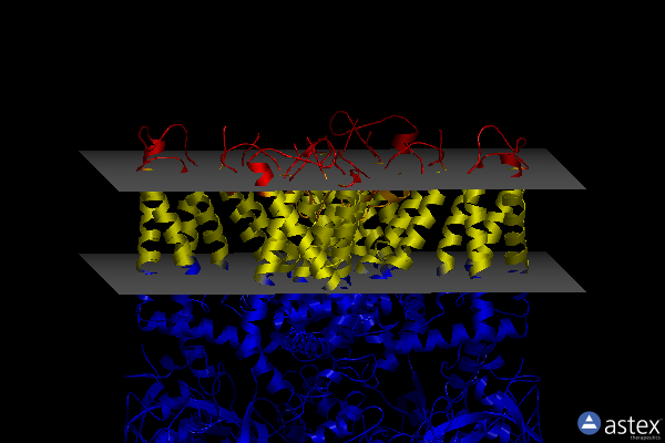 Membrane view of 8gf9