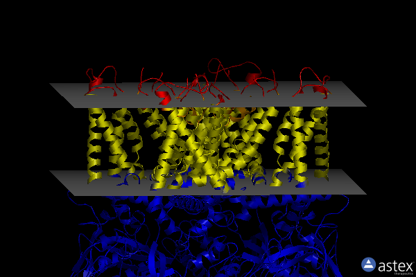 Membrane view of 8gfa