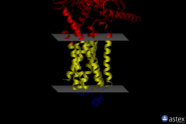 Membrane view of 8gfw