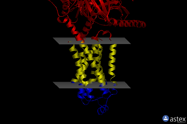 Membrane view of 8gfy