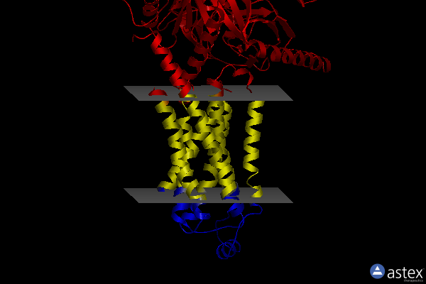 Membrane view of 8gfz