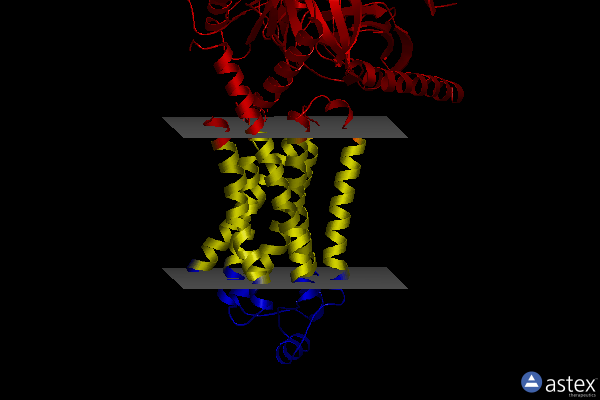 Membrane view of 8gg1