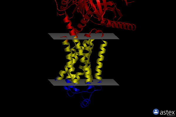 Membrane view of 8gg4