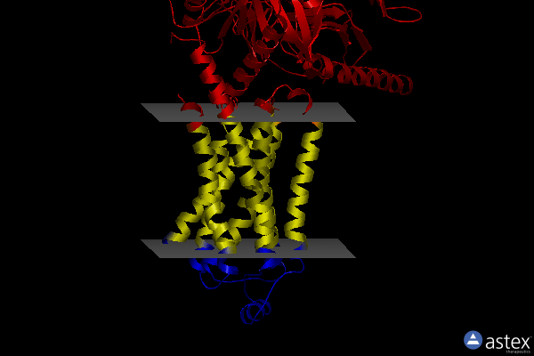 Membrane view of 8gg5