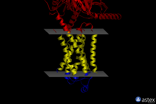 Membrane view of 8gg6