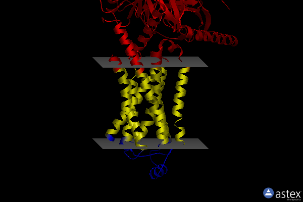 Membrane view of 8gg8