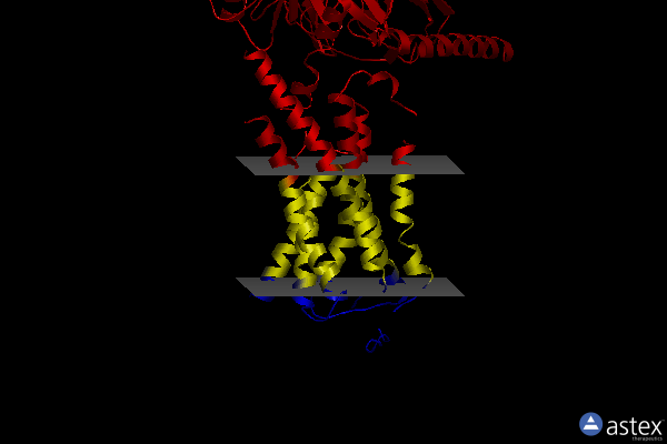 Membrane view of 8ggc