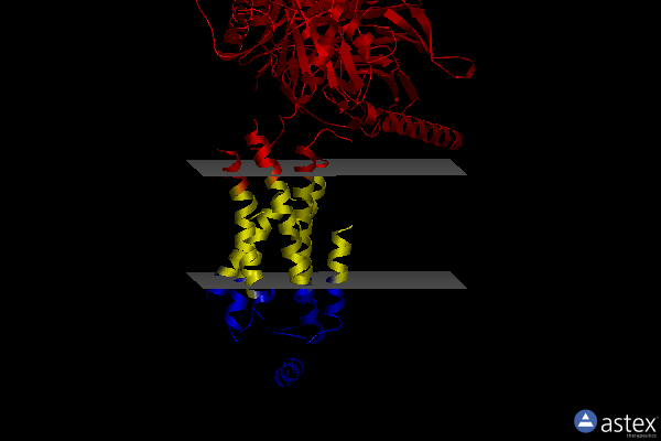 Membrane view of 8ggf