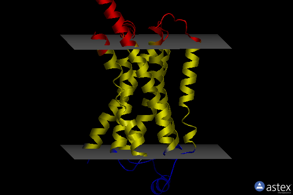 Membrane view of 8ggi