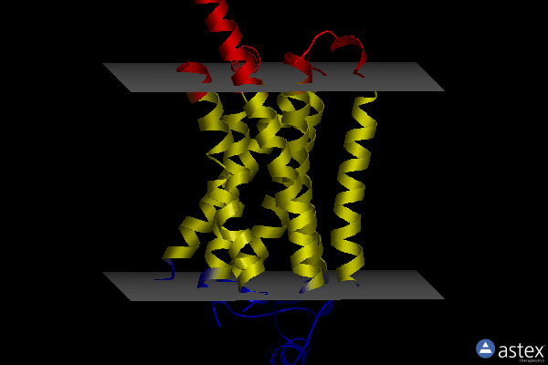 Membrane view of 8ggl