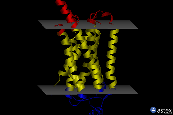 Membrane view of 8ggo