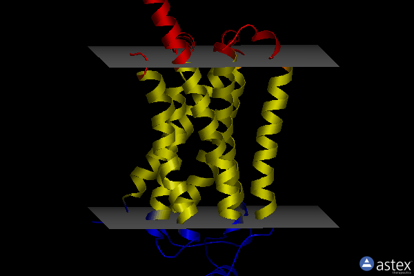 Membrane view of 8ggp