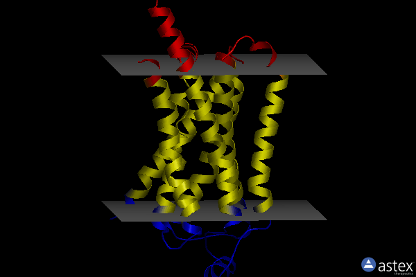 Membrane view of 8ggq