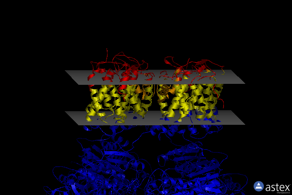 Membrane view of 8ghg