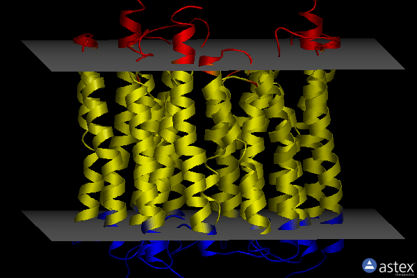 Membrane view of 8gi8