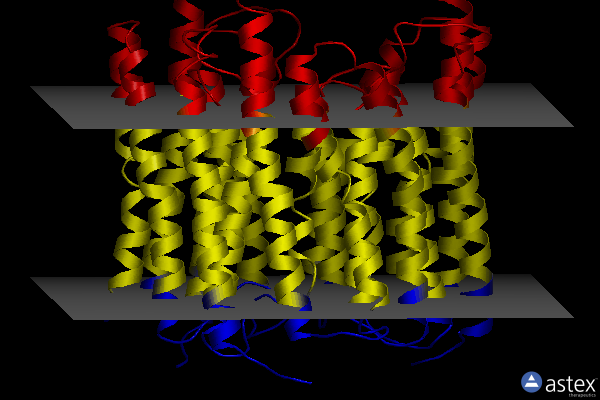 Membrane view of 8gi9