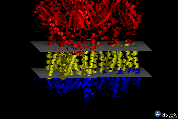 Membrane view of 8gjk
