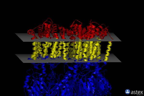 Membrane view of 8gk0