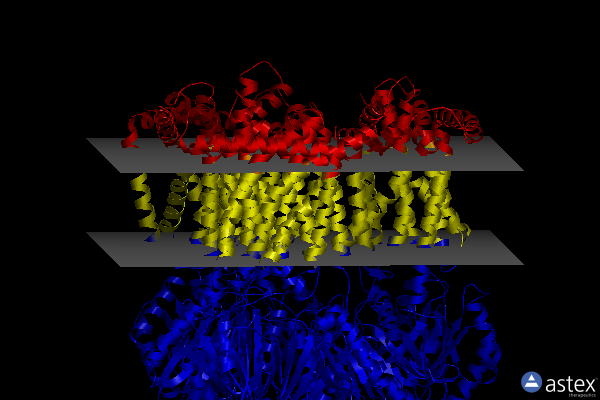Membrane view of 8gk4