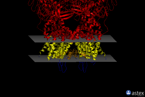 Membrane view of 8gka