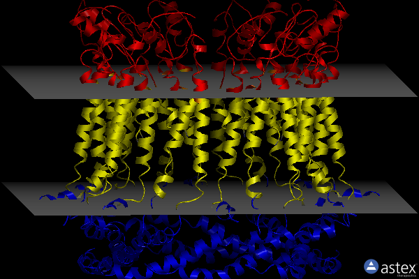 Membrane view of 8gmr