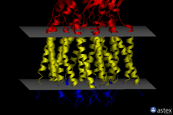 Membrane view of 8gn8