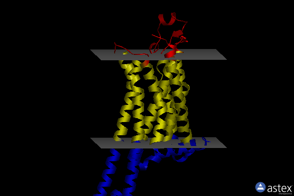Membrane view of 8gne