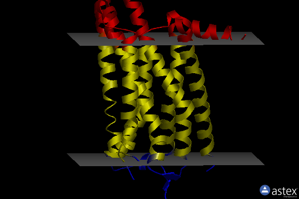 Membrane view of 8gng