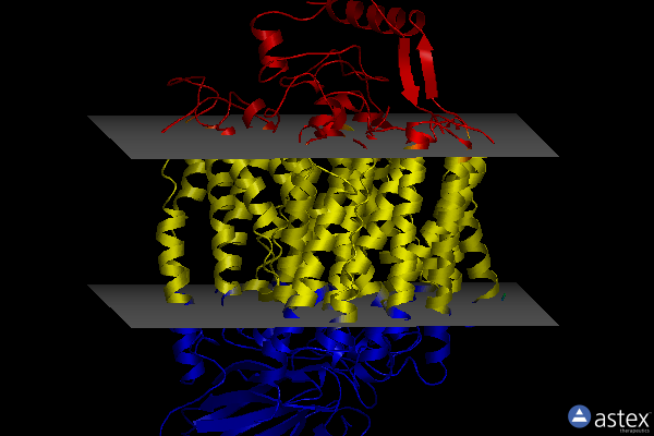 Membrane view of 8go3