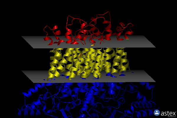 Membrane view of 8gro