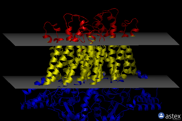 Membrane view of 8gso