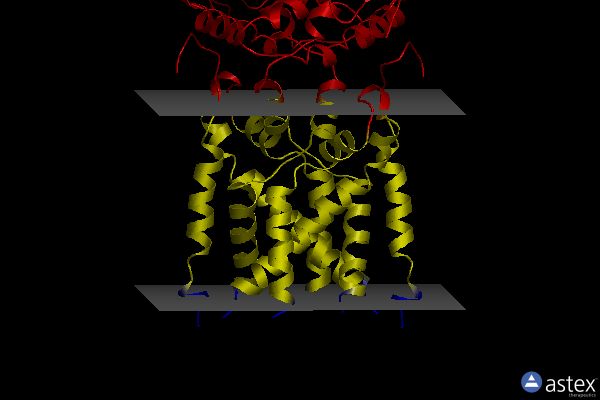 Membrane view of 8gsz