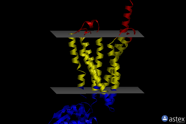 Membrane view of 8gtm