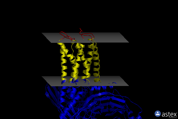 Membrane view of 8guq