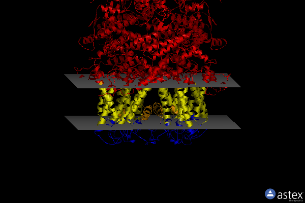 Membrane view of 8gvx