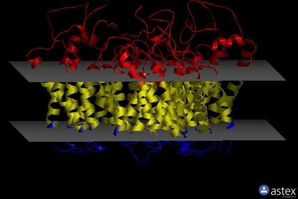 Membrane view of 8gw6