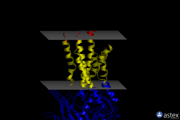Membrane view of 8gw8